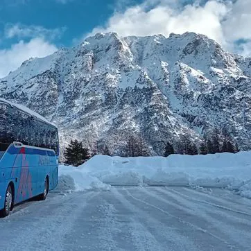 setra gennaio 2025 2