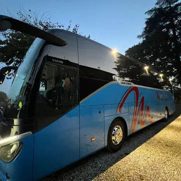 setra corte sera 