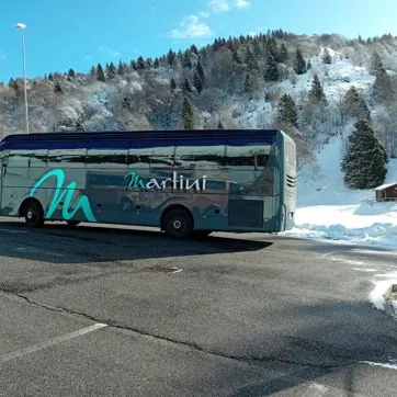 Viaggi oganizzati